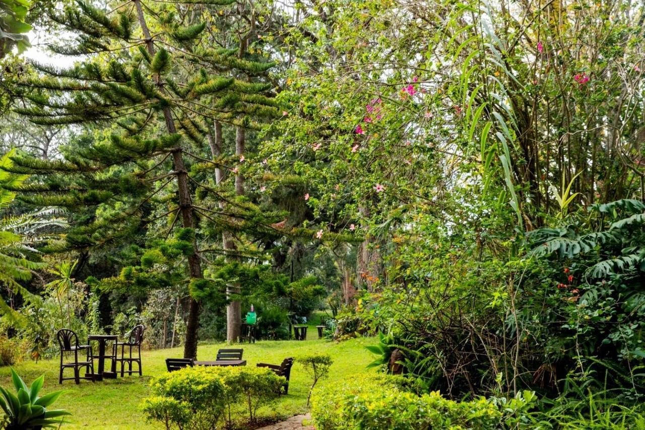 Naro Moru River Lodge Exterior foto